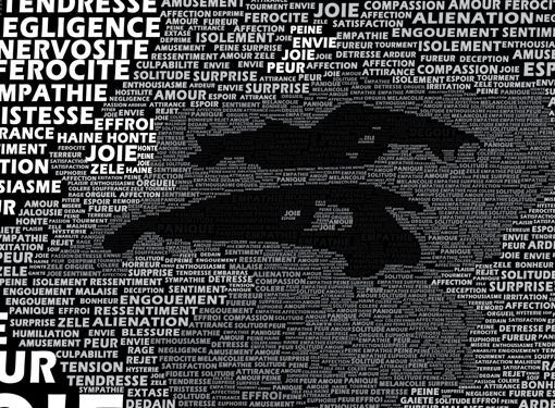 La complexité humaine